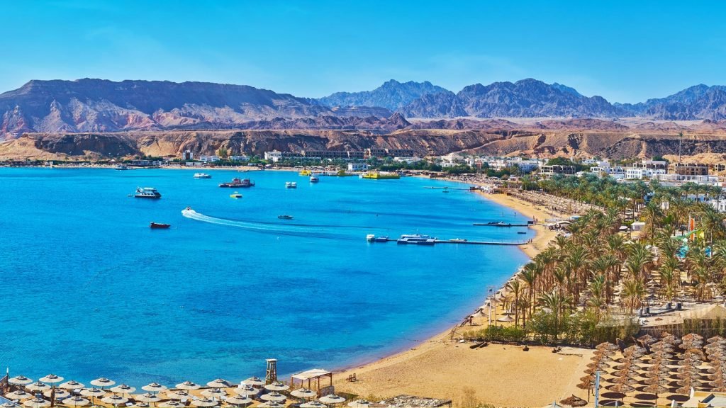 مصر/سهل حشيش